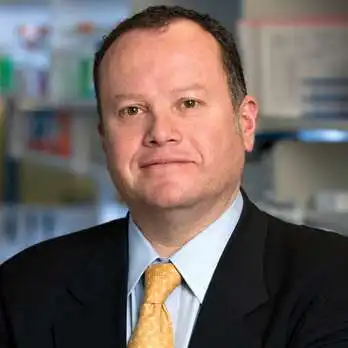 Rafael Fonseca
